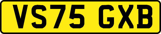 VS75GXB