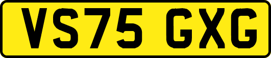 VS75GXG