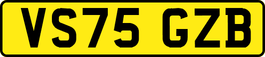 VS75GZB