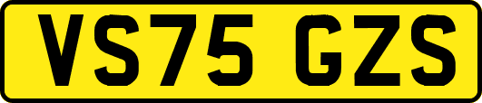 VS75GZS