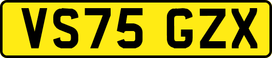 VS75GZX