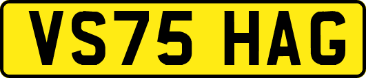 VS75HAG