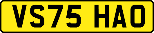 VS75HAO