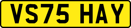 VS75HAY