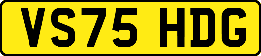 VS75HDG