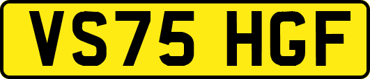 VS75HGF