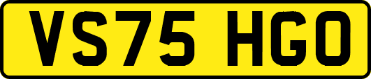 VS75HGO