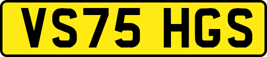 VS75HGS