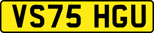 VS75HGU
