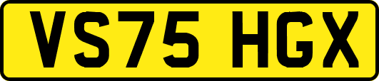 VS75HGX