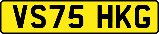 VS75HKG