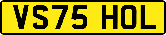VS75HOL