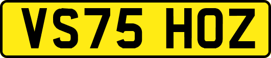 VS75HOZ