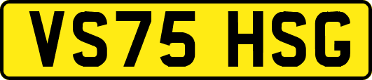 VS75HSG