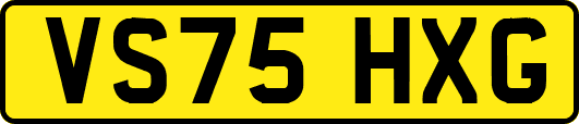 VS75HXG