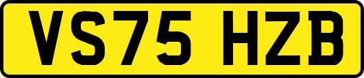 VS75HZB