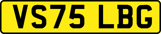 VS75LBG
