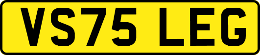 VS75LEG