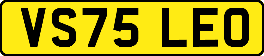 VS75LEO