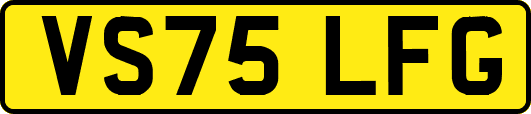 VS75LFG