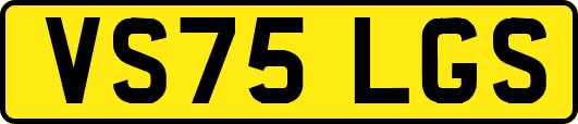 VS75LGS