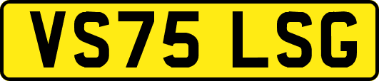 VS75LSG