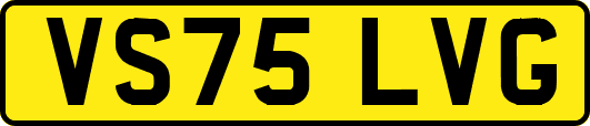 VS75LVG