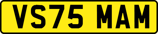 VS75MAM