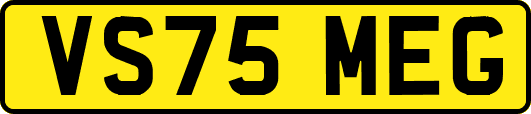 VS75MEG