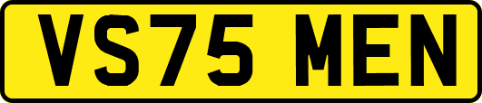 VS75MEN