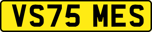 VS75MES