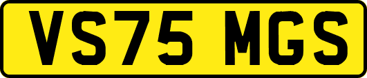 VS75MGS