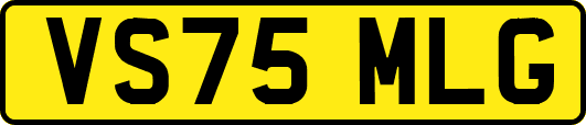 VS75MLG