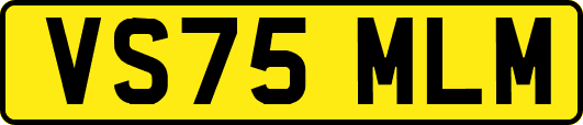 VS75MLM