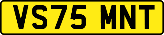 VS75MNT