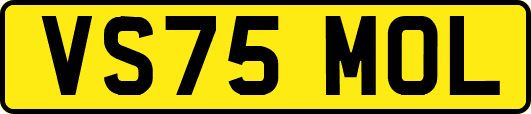 VS75MOL