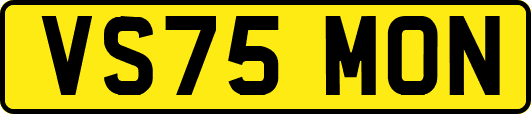 VS75MON