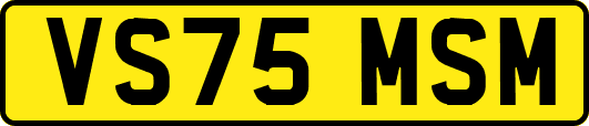 VS75MSM