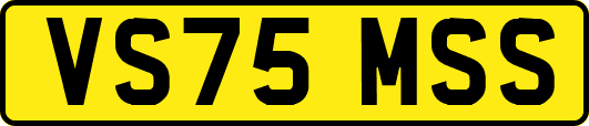 VS75MSS