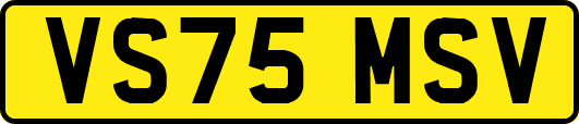 VS75MSV