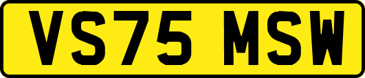 VS75MSW