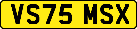 VS75MSX