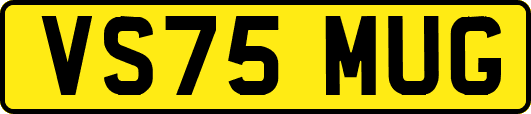VS75MUG