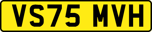 VS75MVH