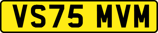 VS75MVM