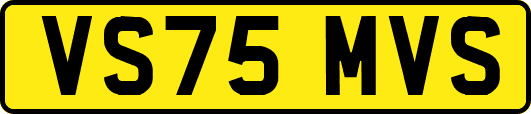 VS75MVS