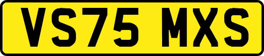 VS75MXS