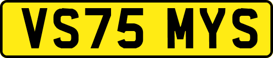 VS75MYS