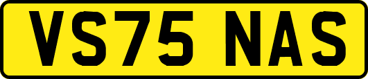 VS75NAS