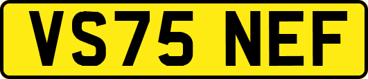 VS75NEF